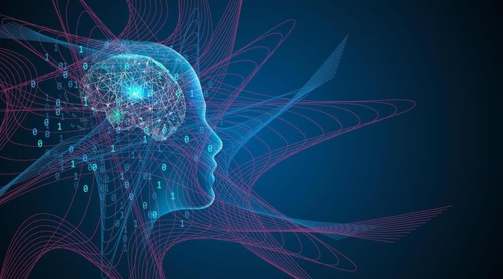 CNN Project Thumbnail